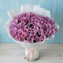 Букет цветов из:  Хризантемы #REPLACE_PRED# Загорьевские дали