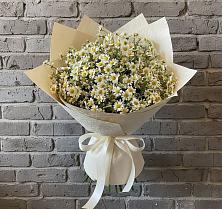 Букет цветов из:  Ромашки #REPLACE_PRED# Загорьевские дали