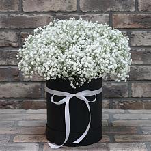 Цветочная композиция из Гипсофила в шляпной коробке в Загорьевские дали