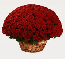 Премиум букет из: Розы в Загорьевские дали